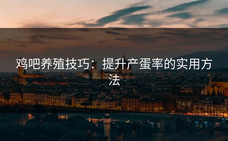 鸡吧养殖技巧：提升产蛋率的实用方法  第2张